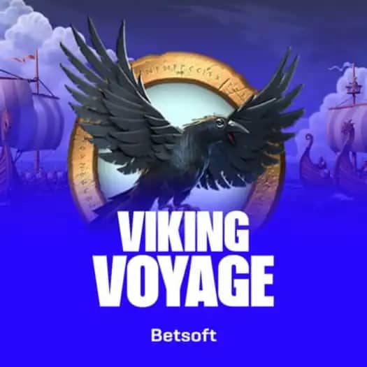 Bsg Viking Voyage