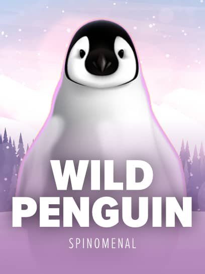 Wild Penguin