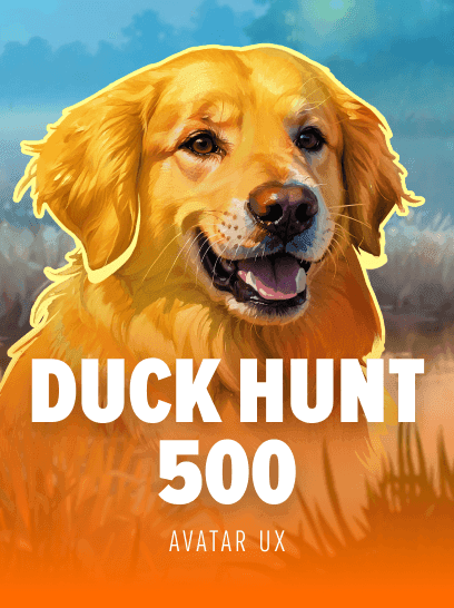 Duck Hunt 500