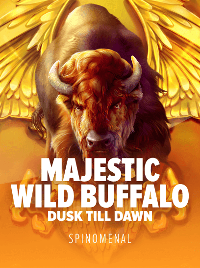 Majestic Wild Buffalo Dusk Till Dawn